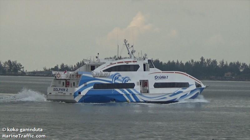 DOLPHIN 2