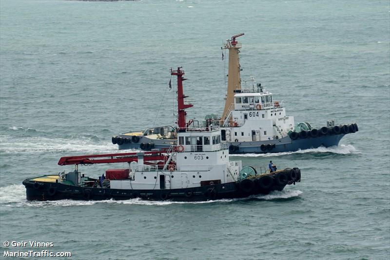 NS311