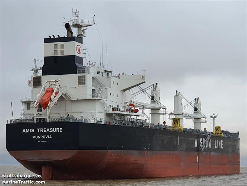 AMIS TREASURE