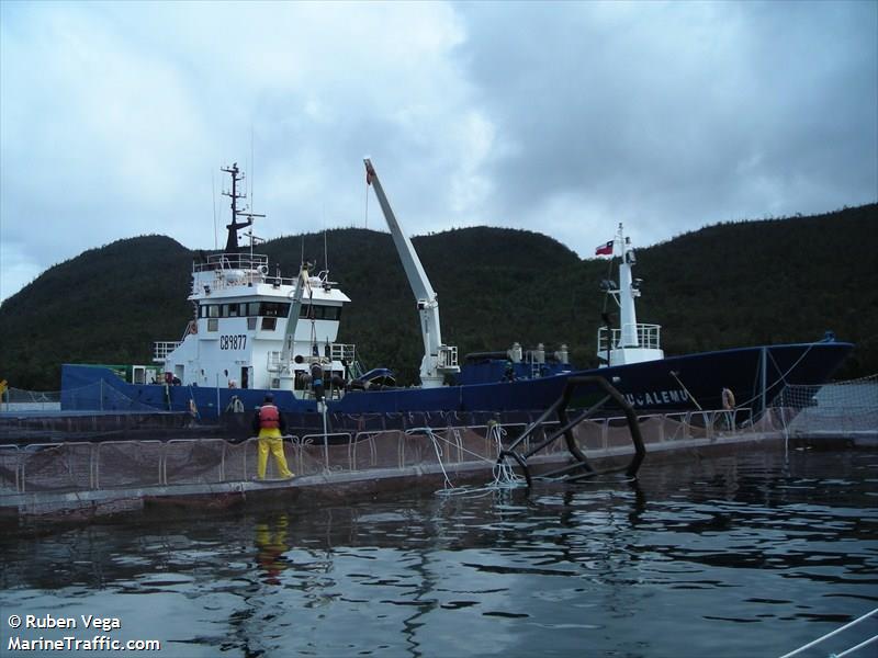 BUCALEMU